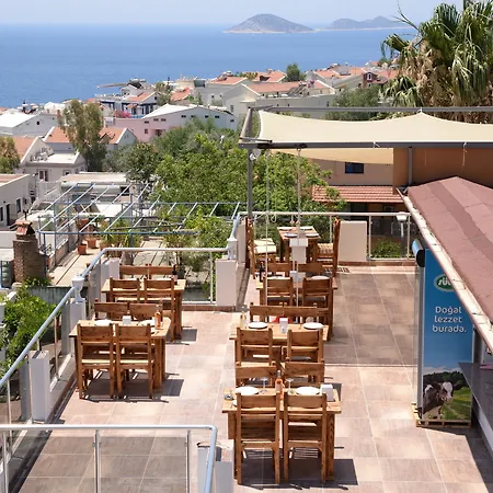 Neruda Hotel
