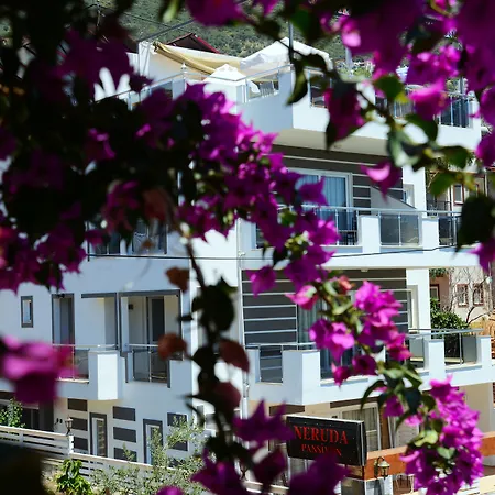 Hotel Neruda